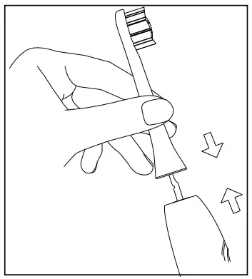 Using the Toothbrush