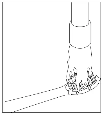 Using the Toothbrush