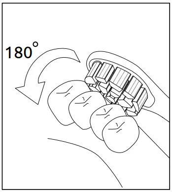 Using the Toothbrush