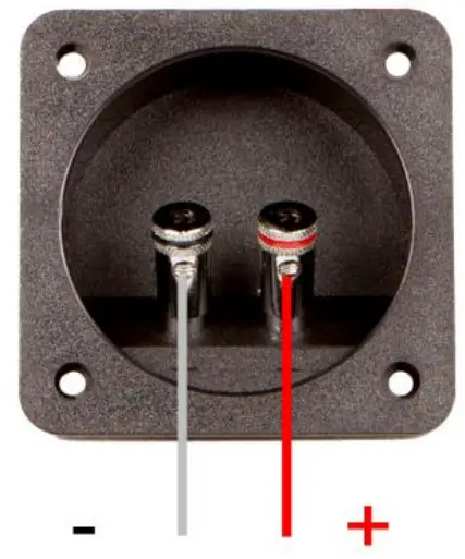 AUDIO SYSTEM SUBFRAME R 10 FLAT EVO2 SERIES - fig