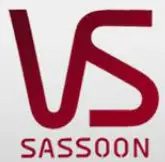 VS SASSOON logo