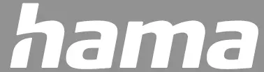 hama 00184125 True Wireless Earbuds logo