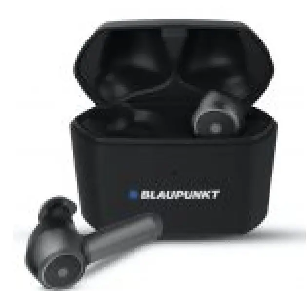 Pixel Buds Pro Wireless Earbuds  Earbuds User Manual