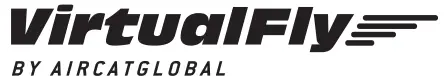 Virtual Fly logo