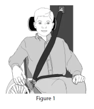 spex-DualTec-Cushion-fig- (4)