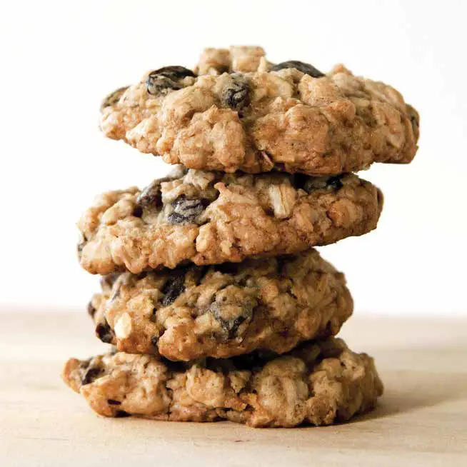 NINJA Foodi CI100 Series Foodi Power Chopper - OATMEAL RAISIN COOKIES