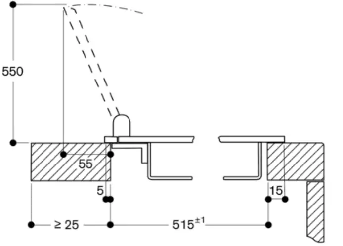 Longitudinal section