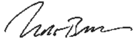 AVM INSPIRATION CS 2 3 Audio Video Manufacturing GmbH - signature 1