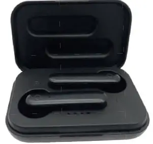 WIRELESS GEAR G0697 True Wireless Stereo Earbuds User Product