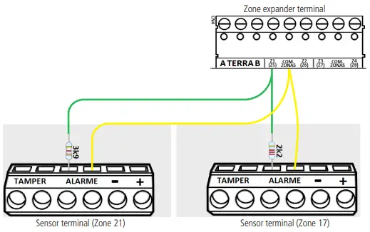 Parallel duplication