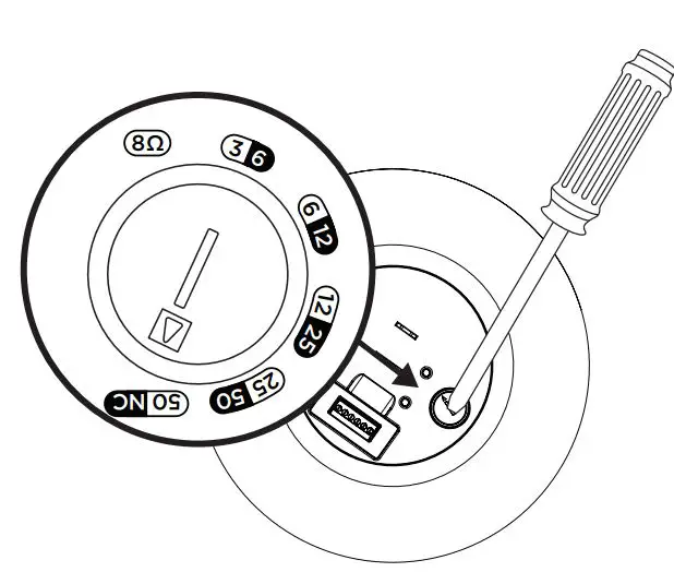 BOSE-DesignMax-DM5P-Pendant-Loudspeaker-5