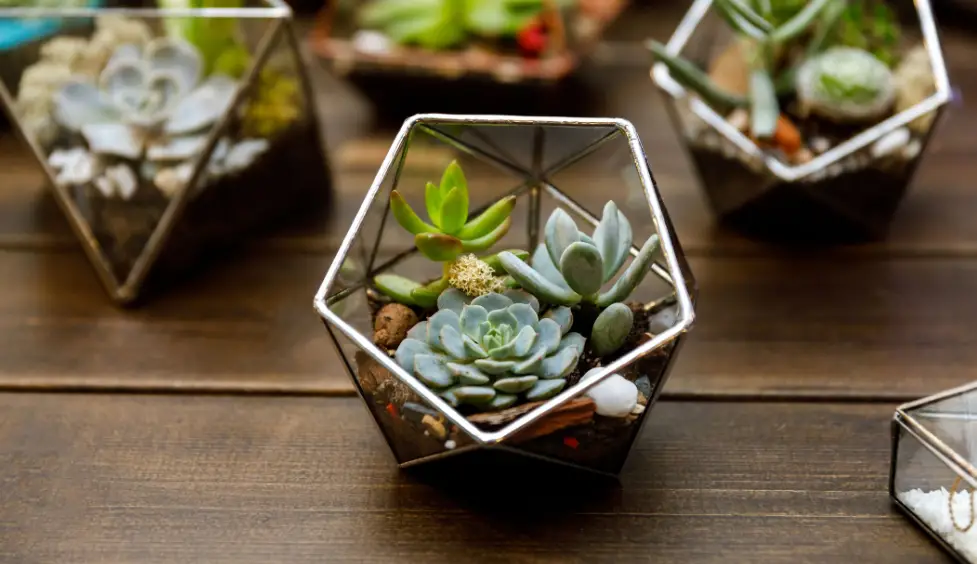 Rootbox Gb40557 Seed Kit Instructions Rootbox Gb40557 Seed Kit Instructions