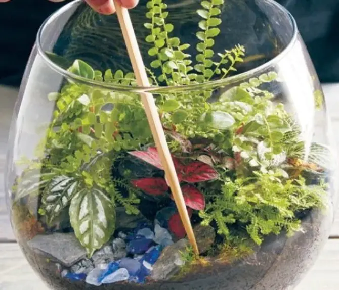 Rootbox-GB40557-Seed-Kit-product-image