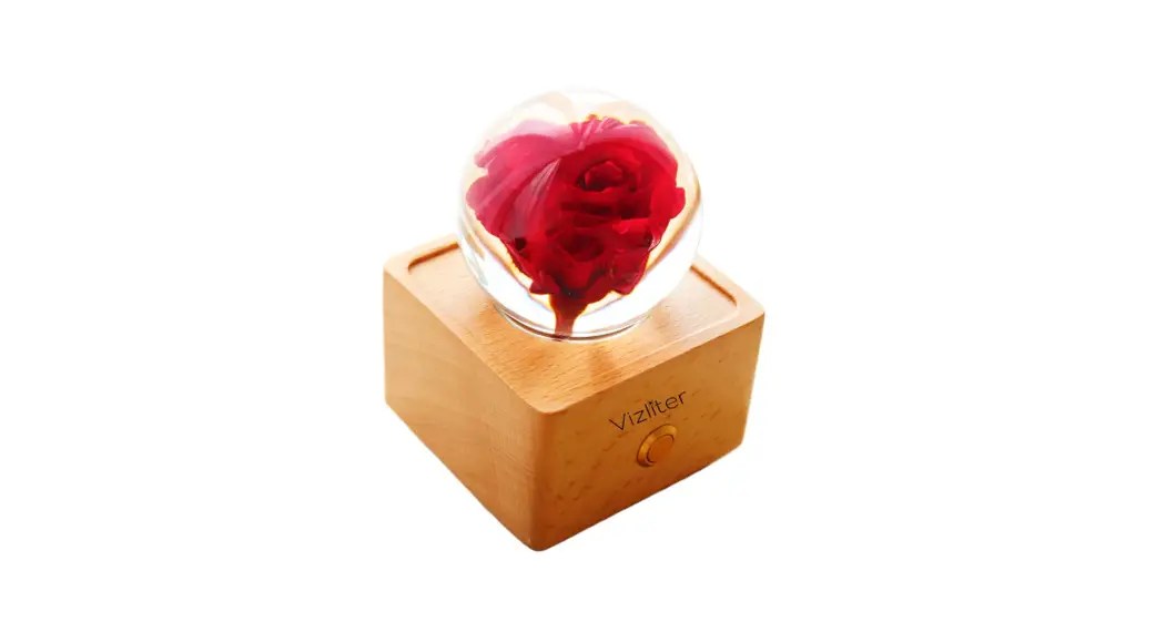 Vizliter Flw25 Fresh Flower Night Light Bluetooth Speaker Instruction Manual Vizliter Flw25 Fresh Flower Night Light Bluetooth Speaker Instruction Manual