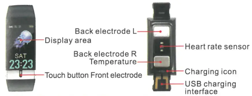 mangrove Smart Bracelet - Component introduction