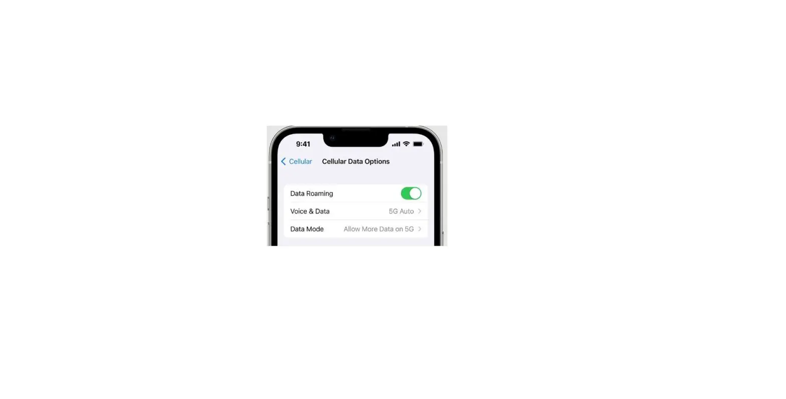 Set Up Cellular Service On Iphone