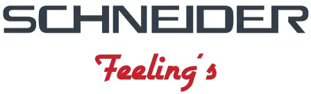 Schneider Logo 1