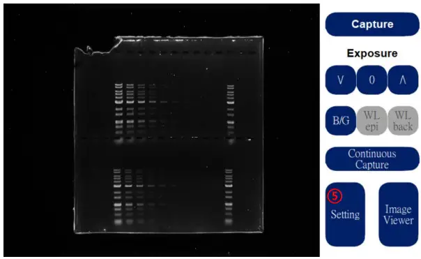 PACIFIC IMAGE ELECTRONICS Glite T8 Stand Alone Operation and Compact Gel Documentation System - fig11