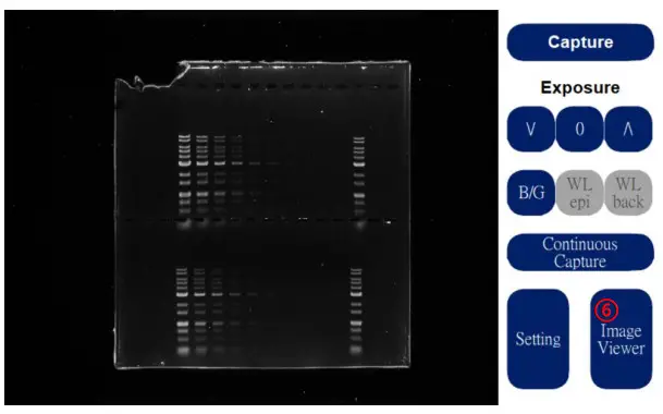 PACIFIC IMAGE ELECTRONICS Glite T8 Stand Alone Operation and Compact Gel Documentation System - fig120