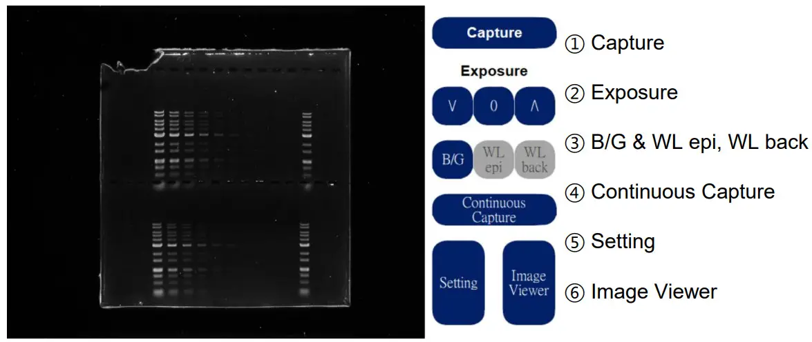 PACIFIC IMAGE ELECTRONICS Glite T8 Stand Alone Operation and Compact Gel Documentation System - fig4