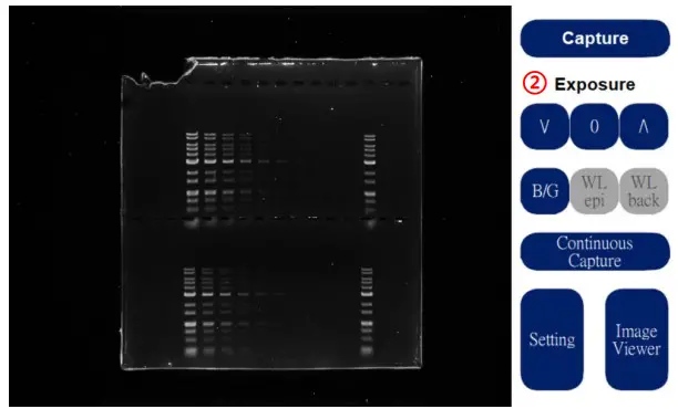 PACIFIC IMAGE ELECTRONICS Glite T8 Stand Alone Operation and Compact Gel Documentation System - fig7