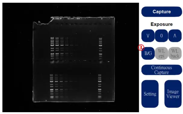 PACIFIC IMAGE ELECTRONICS Glite T8 Stand Alone Operation and Compact Gel Documentation System - fig8