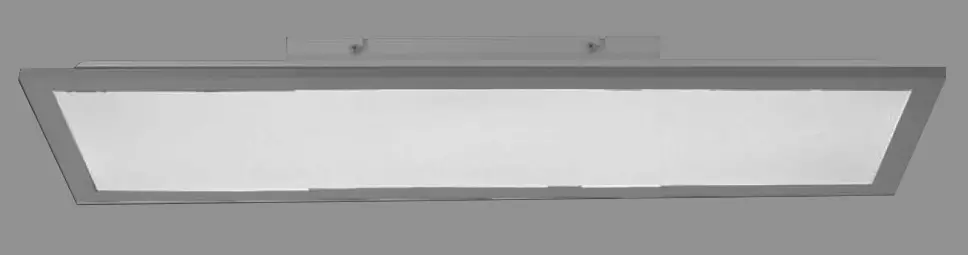 Paul Neuhaus 7516021 Ceiling Light