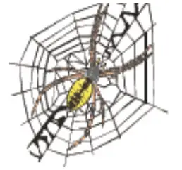 NEXGRILL 820-0081 Daytona 1-Burner Propane Gas Table Top Griddle - Figure 2