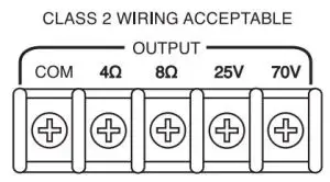 FIG 3 Speaker Outputs