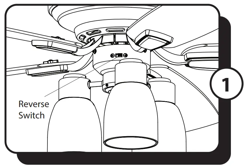 PROMINENCE HOME 51669 52 Inch Indoor Ceiling Fan - fan pull chain 1