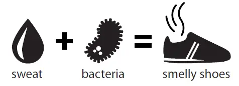 shoefresh-377113-Mini-Shoe-Freshener-1