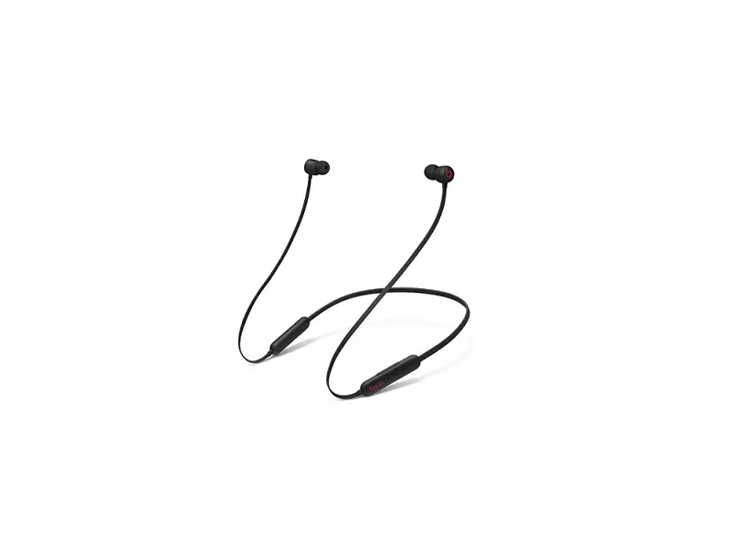 Apple A2295 All-day Wireless Earphones User Manual