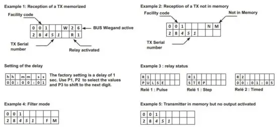 FIG 6 Layout & Wiring.JPG