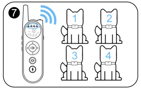 Shenzhen-Saiku-Electronic-X1-Dog-Collar-FIG-12