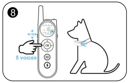 Shenzhen-Saiku-Electronic-X1-Dog-Collar-FIG-13