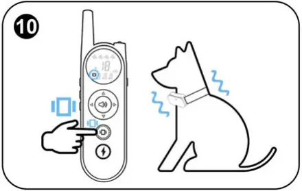 Shenzhen-Saiku-Electronic-X1-Dog-Collar-FIG-15