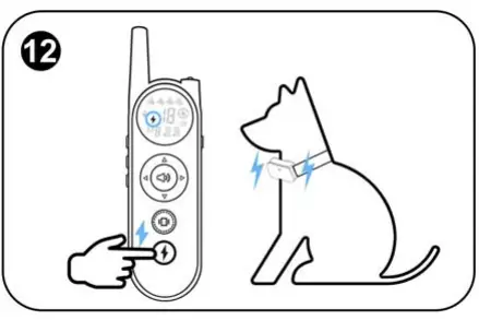 Shenzhen-Saiku-Electronic-X1-Dog-Collar-FIG-17