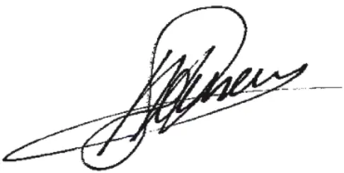 BATAVIA BT-CAG001 Cordless Angle Grinder - sine