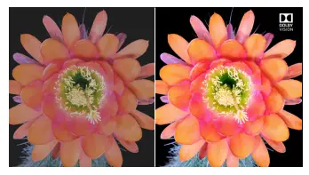 Dolby Vision™ HDR