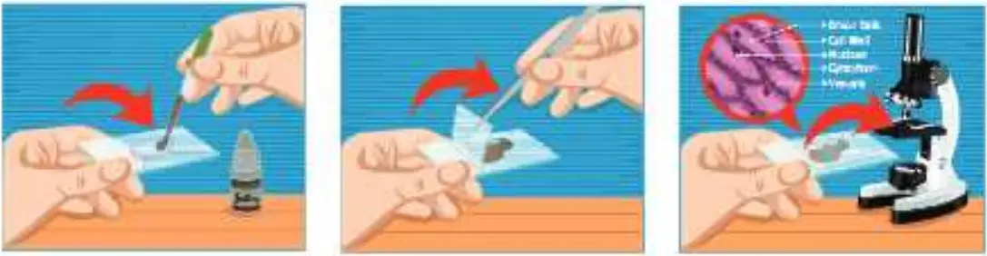 IQCREW M30-ABS-KT2 52 Piece Microscope Set - fig 15