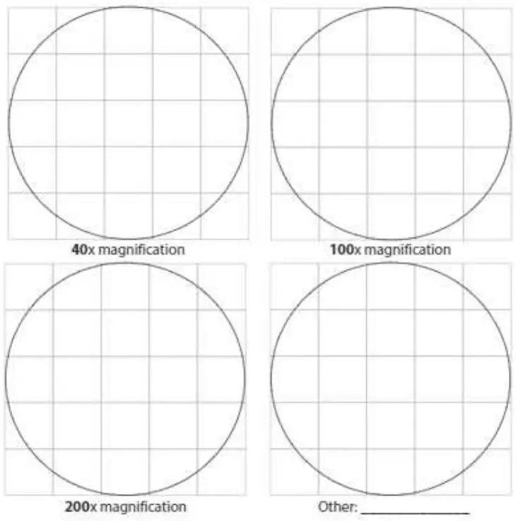 IQCREW M30-ABS-KT2 52 Piece Microscope Set - fig 18