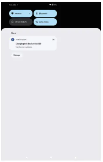 Verifone IX90-CQA1103 Tablet PC - 8