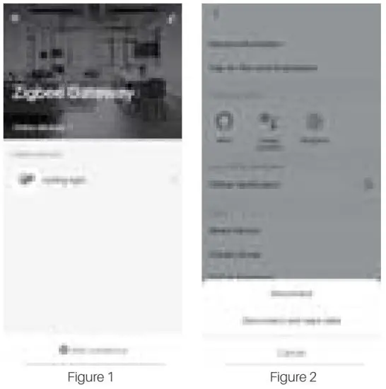 FIG 8 Factory Reset.JPG