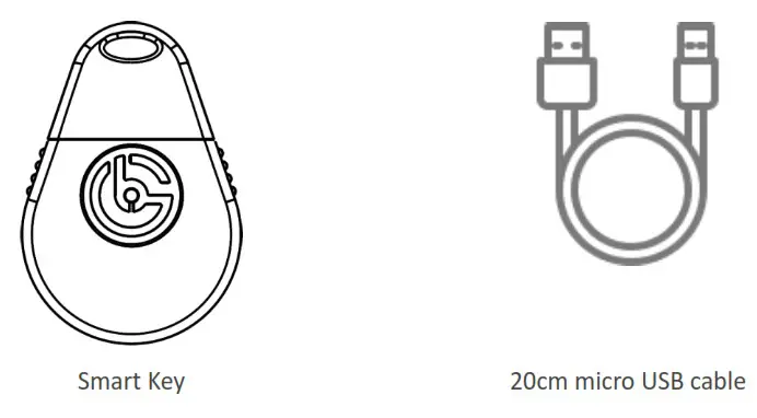 BRILLIANT GUARD BGMK6338 Smart Key - Unpack smart key