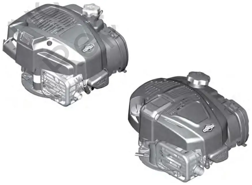 BRIGGS STRATTON 090000 Performance Of Petrol Engines