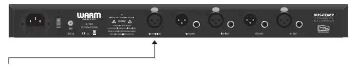 EXTERNAL SIDE - CHAIN