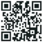 AMC CVT3100MKII Integrated Valve Amplifier -qr