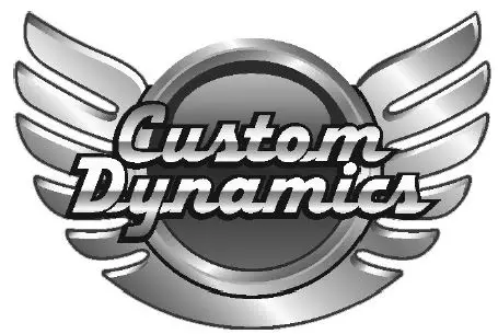 custom dynamics