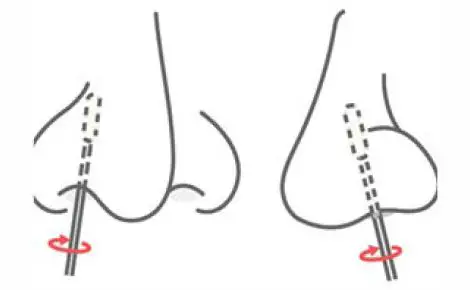 COLLECT YOUR NASAL SWAB SAMPLE 5