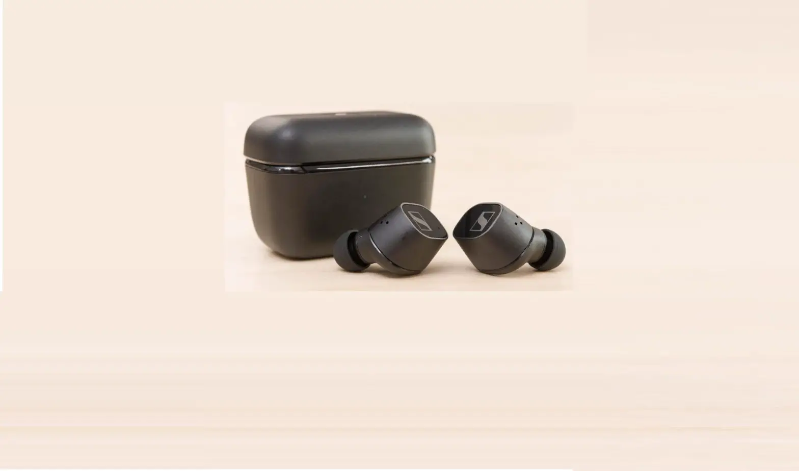 Sennheiser Corp Cxplustw1l Cx Plus True Wireless User Manual